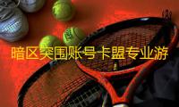 暗区突围账号卡盟专业游戏充值平台的核心优势